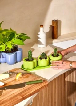 Mini Planter Trio, Lime 19 Mini Planter Trio, Lime -Home Living Store 091824 Rooted Two 10256 Edit WEB