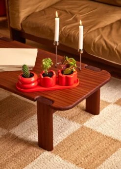 Mini Planter Trio, Poppy -Home Living Store 091924 Rooted Three 10820 Edit WEB