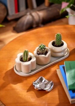 Mini Planter Trio, Oat 19 Mini Planter Trio, Oat -Home Living Store 091924 Rooted Three 11507 Edit WEB