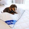 Super Sleeper Pro Adjustable Every Comfort Pillow With Cooling Technology - TV Double Offer! - Super Sleeper Pro -Home Living Store ECP cute small dog sitting on pillow on bed