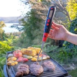 Kleva Flavour Fork™ - DOUBLE OFFER: The Ultimate Meat Thermometer With FREE BONUS GIFTS - Kleva Range -Home Living Store FlavourForkLifestyle06