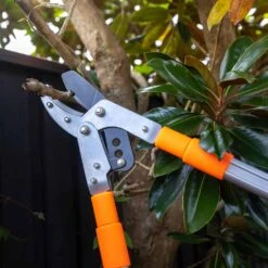 The Ultra Large Tree Lopper - Extend Your Reach To The Highest Of Branches - Kleva Range -Home Living Store LargeLoopersLifestyle 3