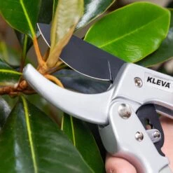 Quality Ratchet Pruning Shears With Easy Grip Squeeze & Release Handles - Kleva Range -Home Living Store RachetPruningShearsLifestyle04