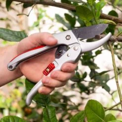 Quality Ratchet Pruning Shears With Easy Grip Squeeze & Release Handles - Kleva Range -Home Living Store RachetPruningShearsLifestyle06