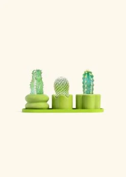 Mini Planter Trio, Lime 17 Mini Planter Trio, Lime -Home Living Store TRIO LIME BABY CACTUS bckgrnd cream 1