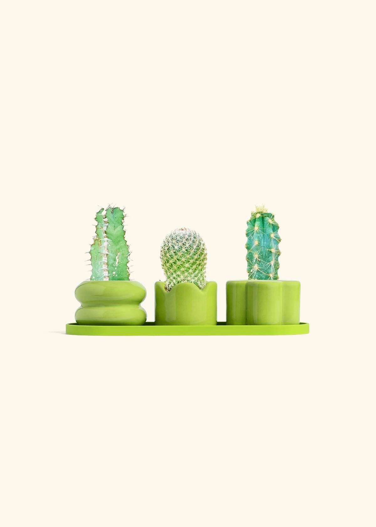 Mini Planter Trio, Lime 9 Mini Planter Trio, Lime - Image 7