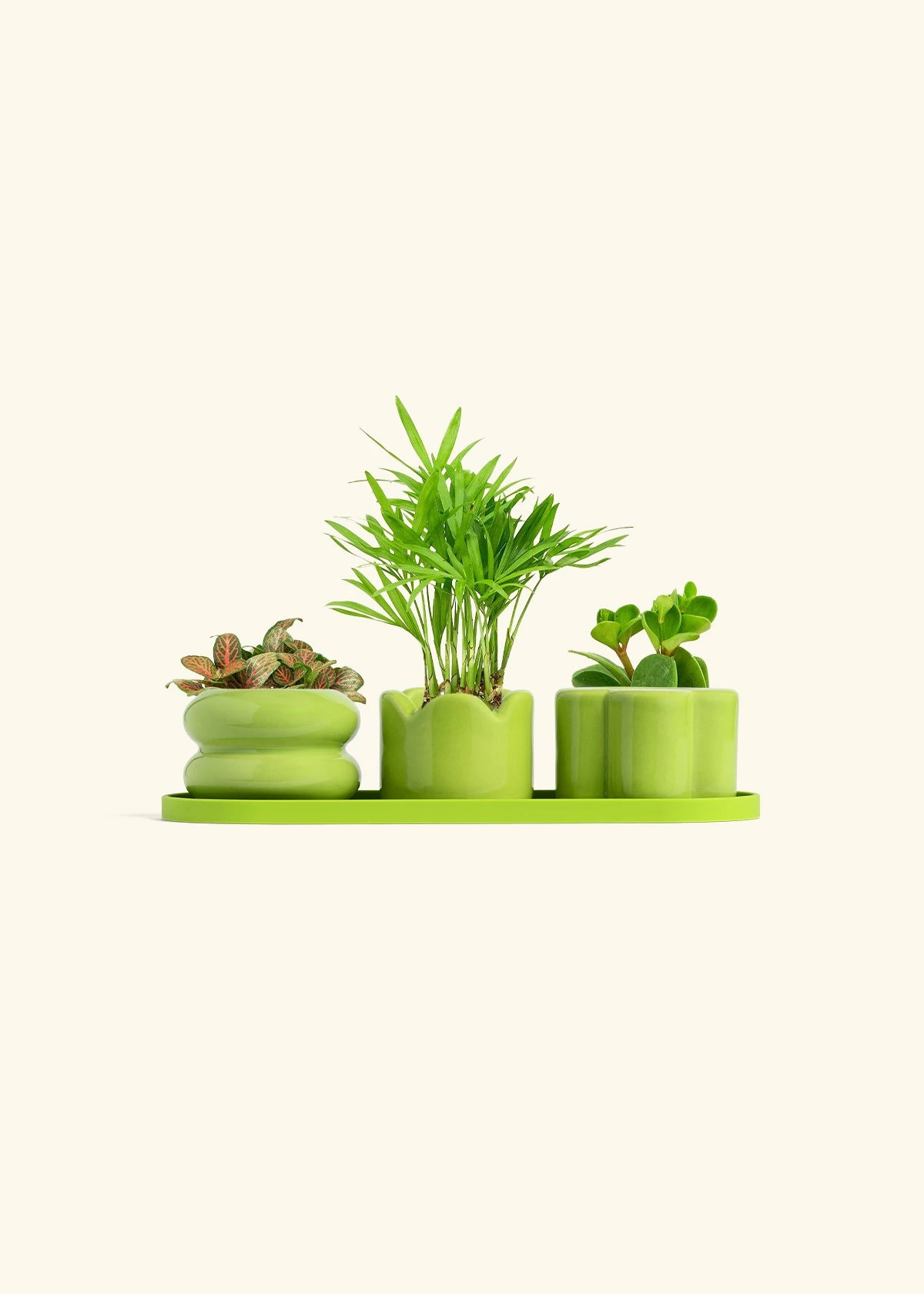 Mini Planter Trio, Lime 8 Mini Planter Trio, Lime - Image 6