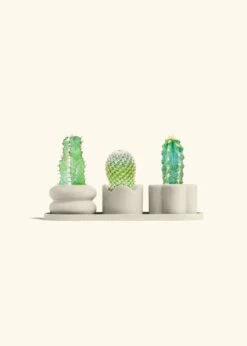 Mini Planter Trio, Oat 16 Mini Planter Trio, Oat -Home Living Store TRIO OAT BABY CACTUS bckgrnd cream 1