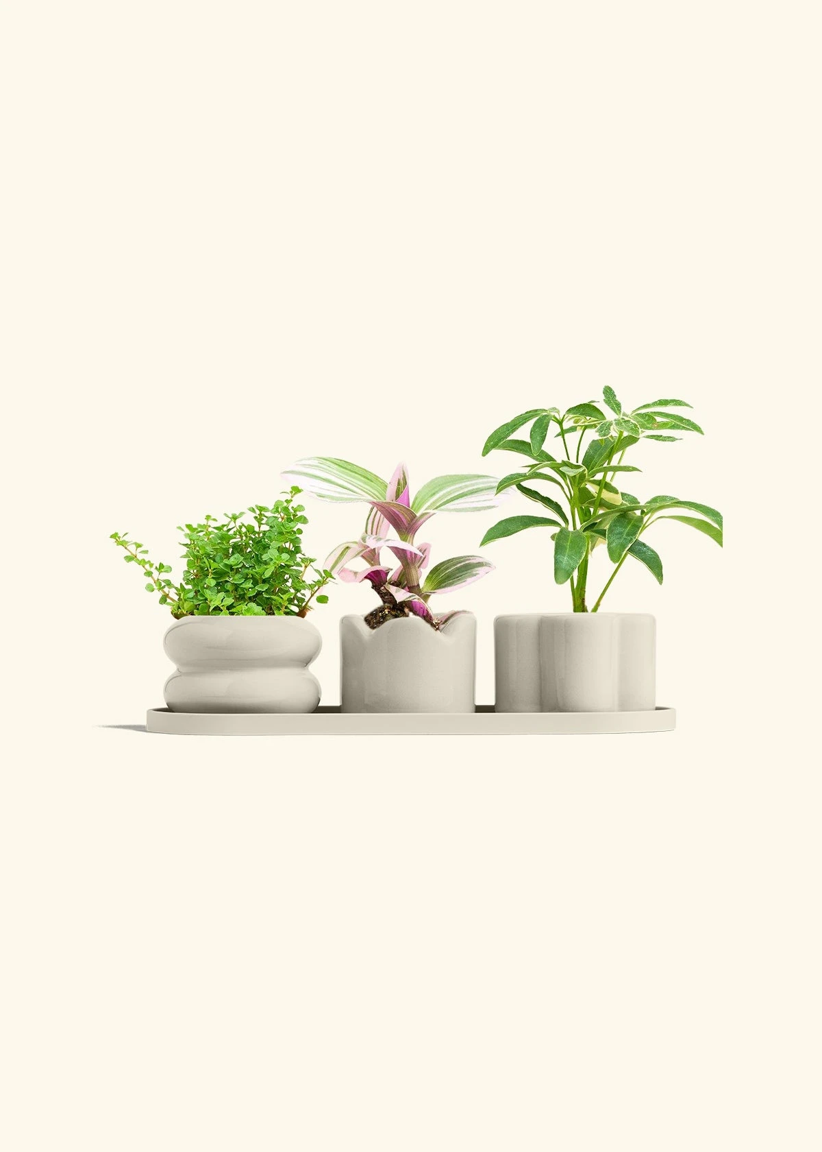 Mini Planter Trio, Oat 9 Mini Planter Trio, Oat - Image 7