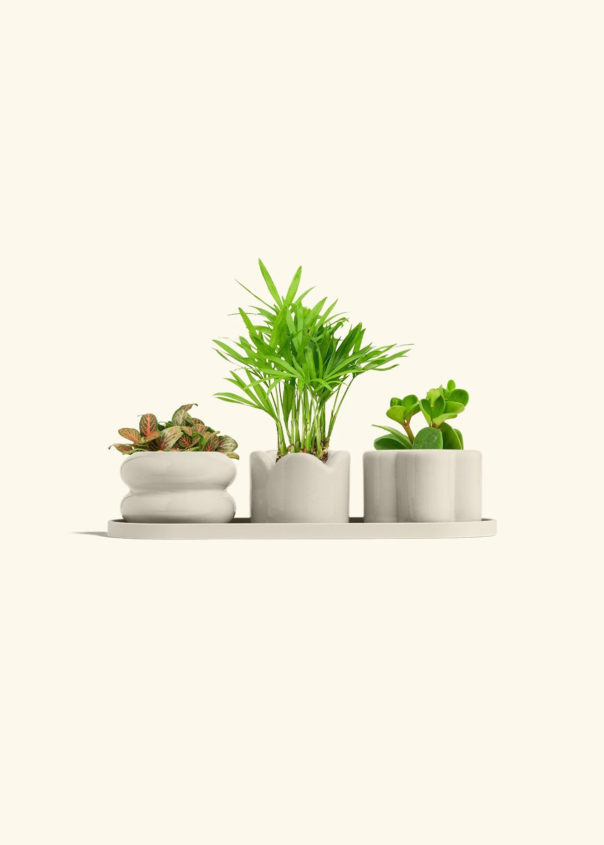 Mini Planter Trio, Oat 10 Mini Planter Trio, Oat - Image 8