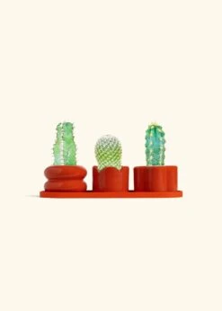 Mini Planter Trio, Poppy -Home Living Store TRIO RED BABY CACTUS bckgrnd cream 1