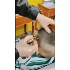 Golden Hair Trimmer - Transform Your Look With A Golden Touch - Kleva Range -Home Living Store gif canvas